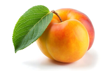 ripe peach with leaf white background