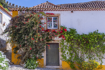 Portugal, Obidos. Blooming vines on a building.