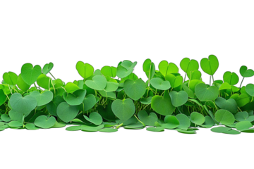 a green plant with leaves in water on a transparent background PNG image, PNG file, Generative art.