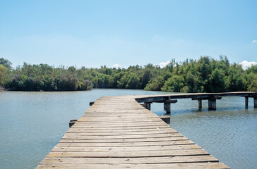Fototapeta premium En Afek National Park, Israel