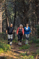 Three enthusiastic senior hikers with trekking sticks embark on a vibrant forest trek in the woods, teamwork and the joy of outdoor adventure. Having a good time on their retirement. Vertical