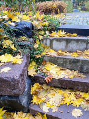 An old stone staircase in a park with fallen yellow maple leaves on it.