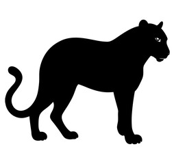 panther vector