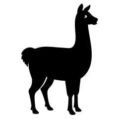 Fototapeta premium silhouette of a Llama