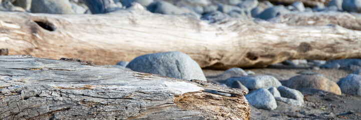 Bariloche beach landscape, rio negro province, argentina