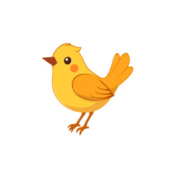 bird vector illustration 