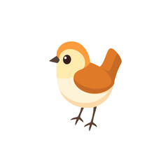 bird on a white background