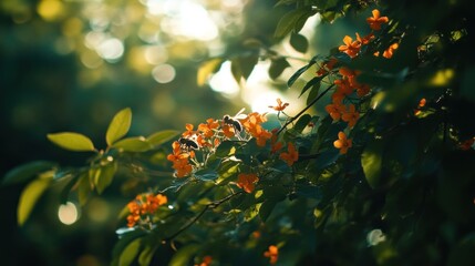 Obraz premium Bees Pollinating Orange Flowers In Sunlight