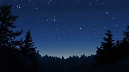 Naklejka premium Starry Night Sky Above Silhouetted Pine Forest