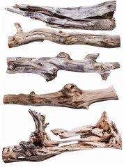 Fototapeta premium This image showcases different types of driftwood with varied textures, patterns, and shapes.