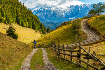 Romania, Transylvania, Carpathian Mountains. Hillside.