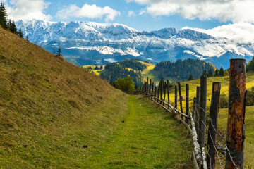 Romania, Transylvania, Carpathian Mountains. Hillside.