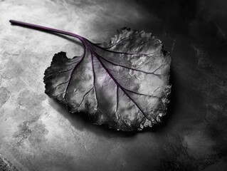 A single purple leaf resting on a wooden table, with a blurred texture in the background suggesting depth and focus on the leaf.