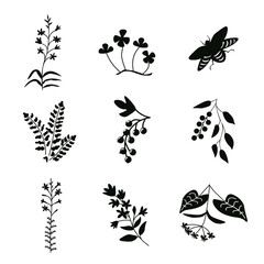 Black and white plants isolated set
