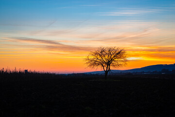 Fototapeta premium Silhouette of a lone tree in the landscape of Transylvania, Romania at sunset