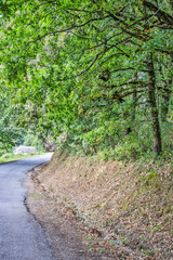 Spain, Galicia. Path along the Camino de Santiago outside of Sarria, Spain
