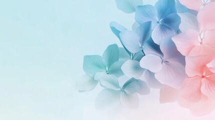 Obraz premium Light blue and pink hydrangea flowers on pastel background. Spring banner with copy space. 