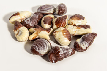 Chocolate seashells on white background. Unusual handmade chocolates. Chocolate shells, shrimps and starfish
