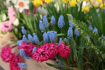 Obraz premium Many different flowers in wooden crate, closeup. Spring season