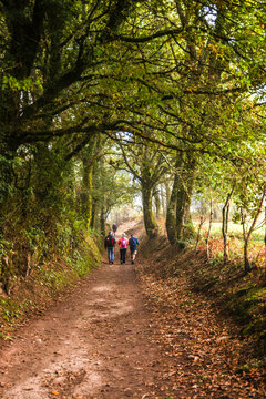 Spain, Galicia. Path that pilgrims walk after leaving Palas de Rei