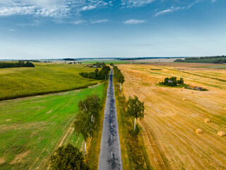 Fototapeta premium Countryside road between planted and cultivated fields