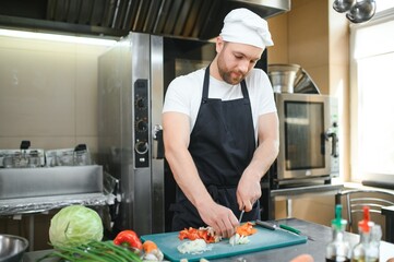 Portrait of handsome positive chef cook at the restaurant kitchen