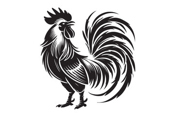 Rooster drawing silhouette