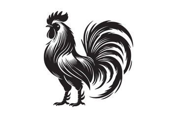 Rooster drawing silhouette