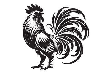 Rooster drawing silhouette