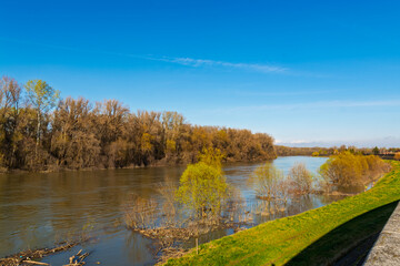 The river of Tisza in Csongrad town