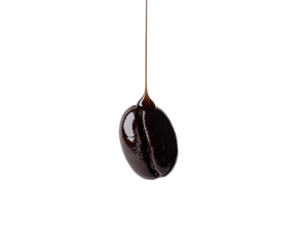 Isolated Coffee Bean with Coffee Drip