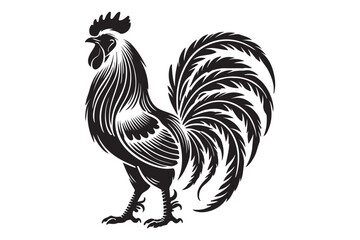 Rooster drawing silhouette