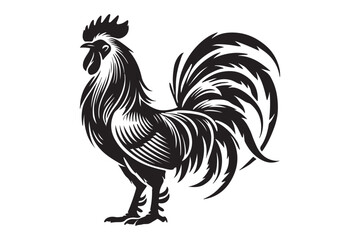 Rooster drawing silhouette