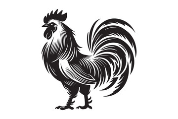 Rooster drawing silhouette