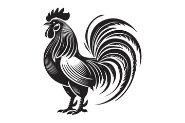 Rooster drawing silhouette