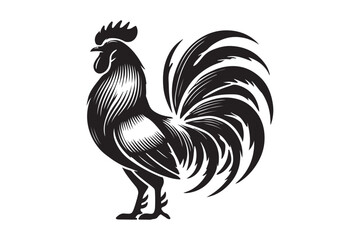 Rooster drawing silhouette