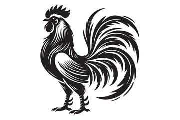 Rooster drawing silhouette