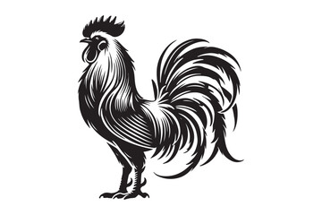 Rooster drawing silhouette