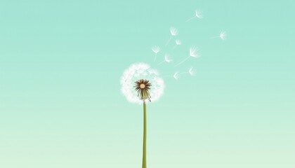4K HD Wallpaper of A single dandelion with its seeds floating in the breeze. Anime Background. HD Backgrounds