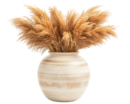 Isolated Dried Pampas Grass in Pottery Vase