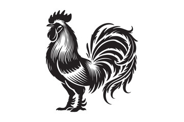 Rooster drawing silhouette