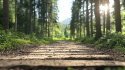 Fototapeta premium In a serene green forest, a wooden path leads through towering trees, bathed in soft sunlight, creating a peaceful, natural setting.