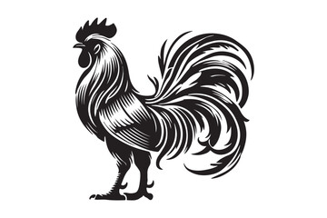 Rooster drawing silhouette