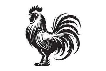 Rooster drawing silhouette