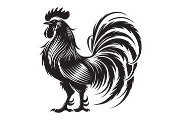 Rooster drawing silhouette