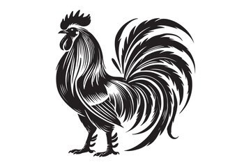 Rooster drawing silhouette