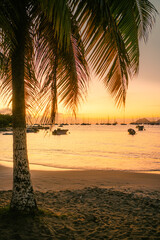 Saint Anne - Martinique, Carribean