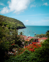 Anse dufour - Martinique, West Indies, caribbean