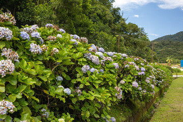 historic, vintage town, with old train station and 19th century buildings. Old wooden houses in a bucolic town.