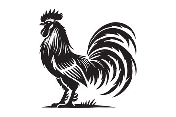 Rooster drawing silhouette